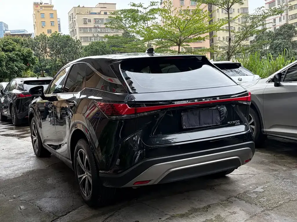 Lexus RX 2024 из CN, фото 8