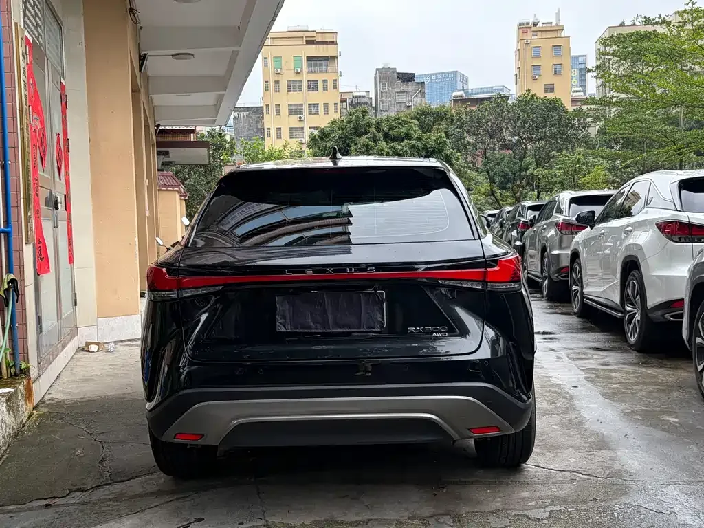 Lexus RX 2024 из CN, фото 5