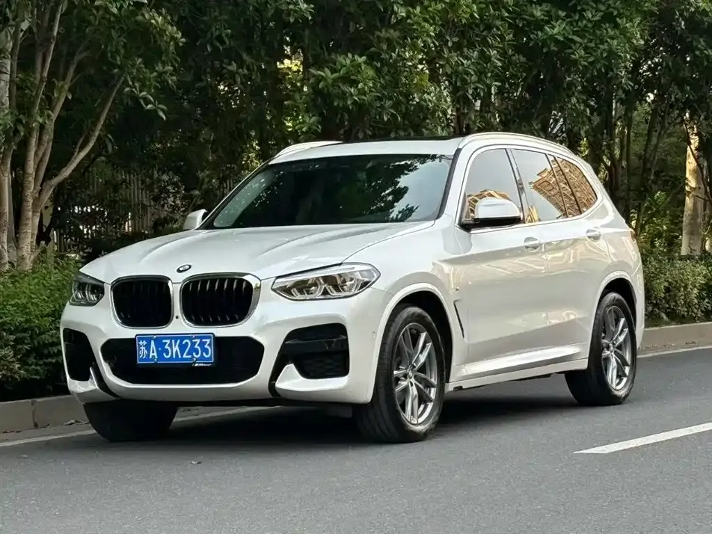 BMW X3 — фото 1
