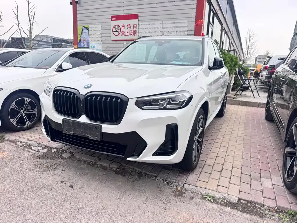 BMW X3 — фото 1