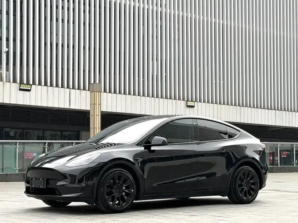 Tesla Model Y — фото 1