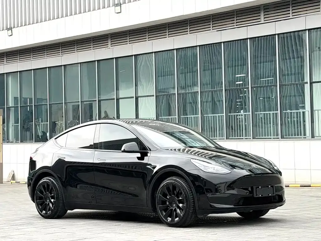 Tesla Model Y — фото 5