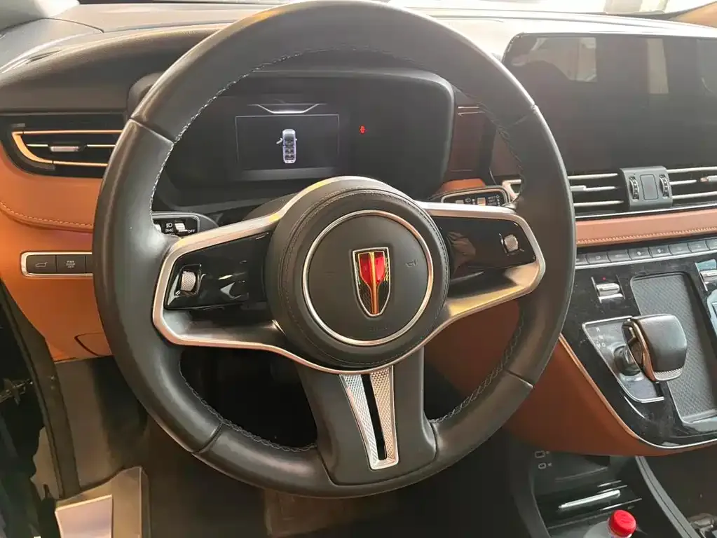 Hongqi HQ9 2023 из CN, фото 5