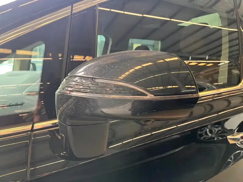 Hongqi HQ9 2023 из CN, фото 9