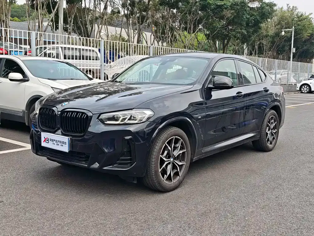 BMW X4 — фото 1
