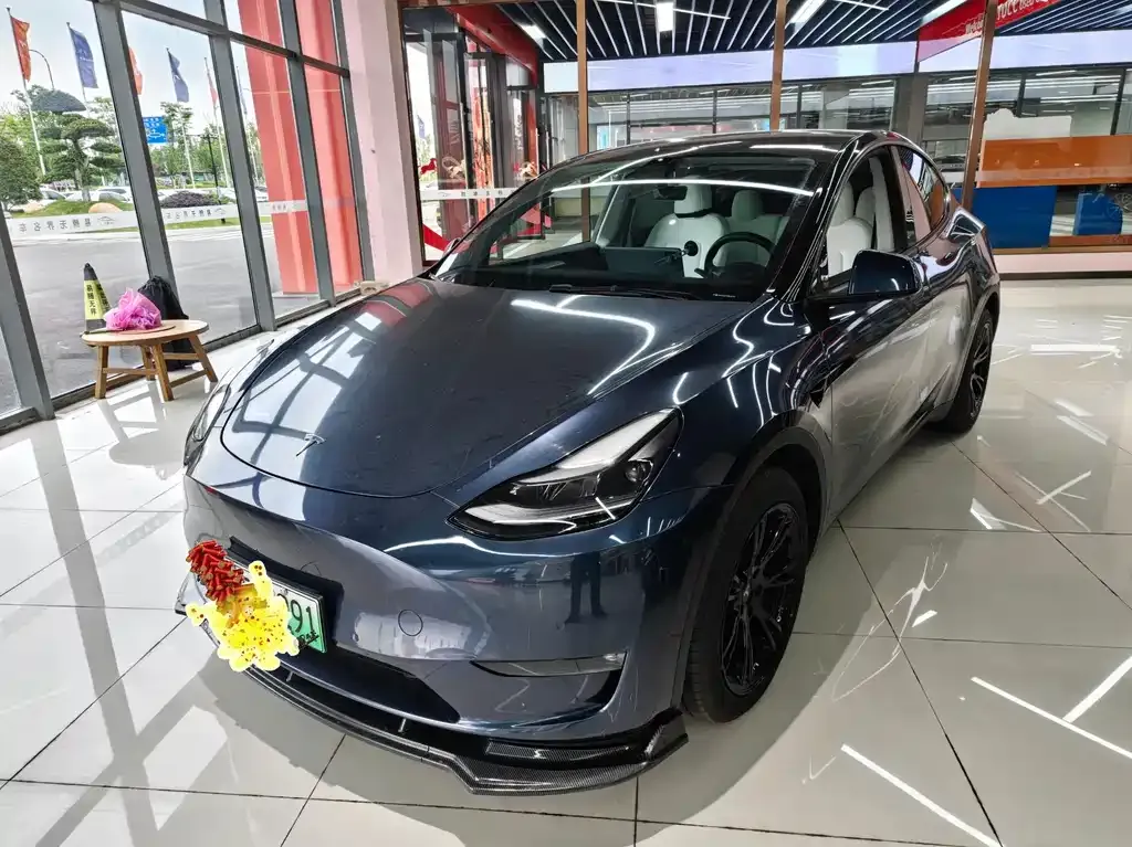 Tesla Model Y — фото 1