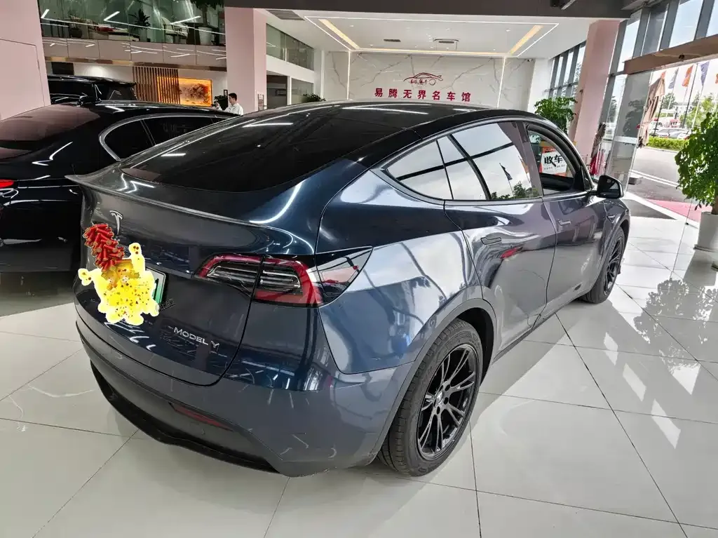 Tesla Model Y — фото 9