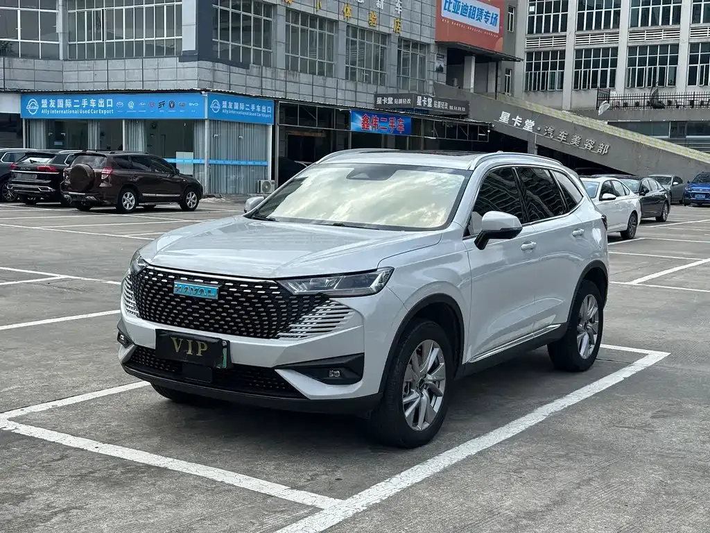 Haval H6 New Energy