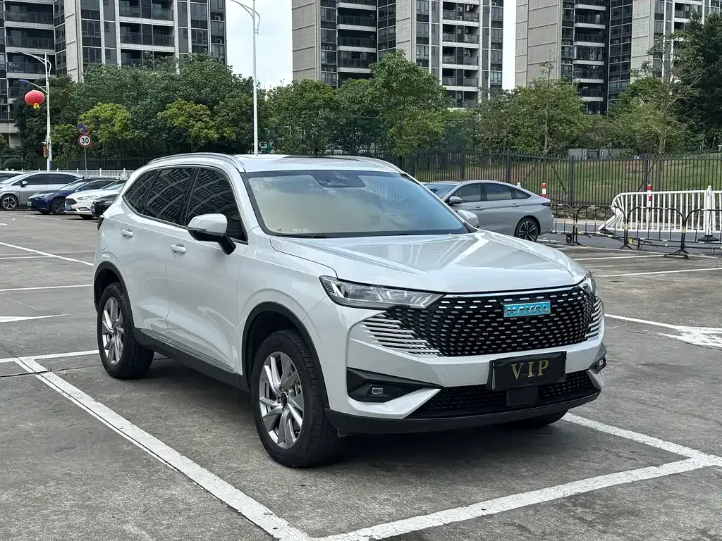 Haval H6 New Energy 2023 из CN, фото 3
