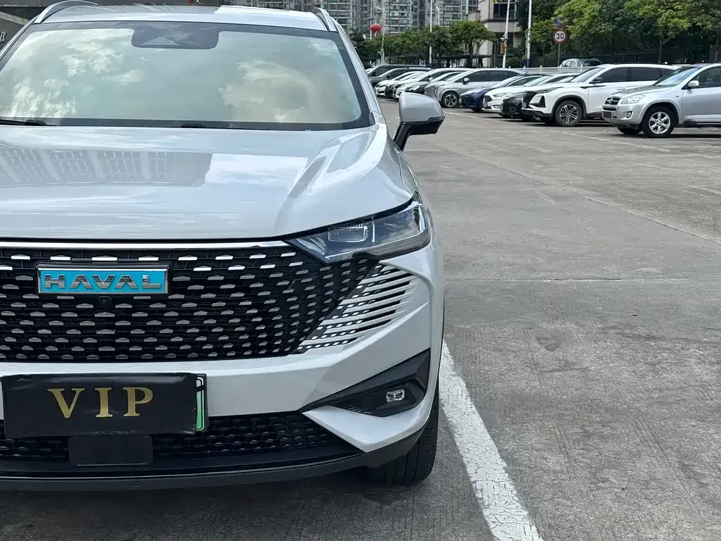 Haval H6 New Energy 2023 из CN, фото 8