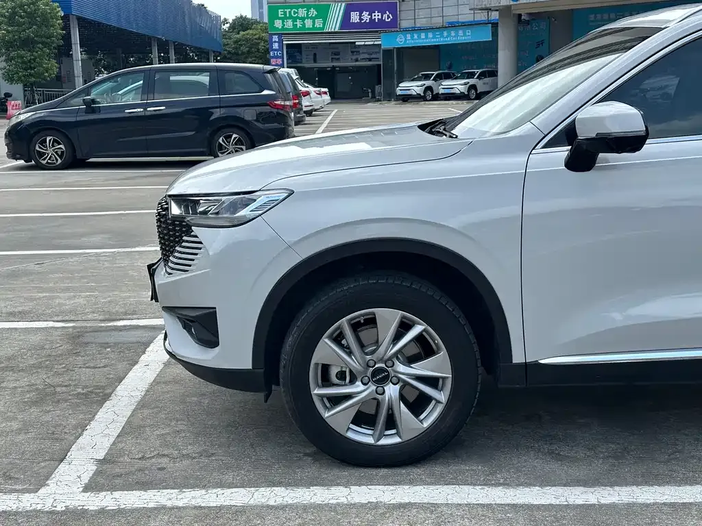 Haval H6 New Energy 2023 из CN, фото 7
