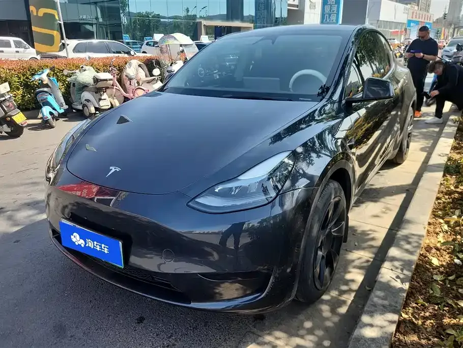Tesla Model Y — фото 1