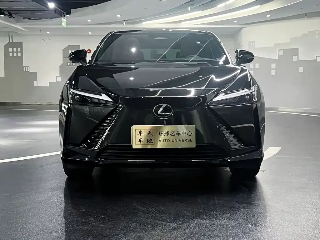 Lexus RZ 2023 из CN, фото 7
