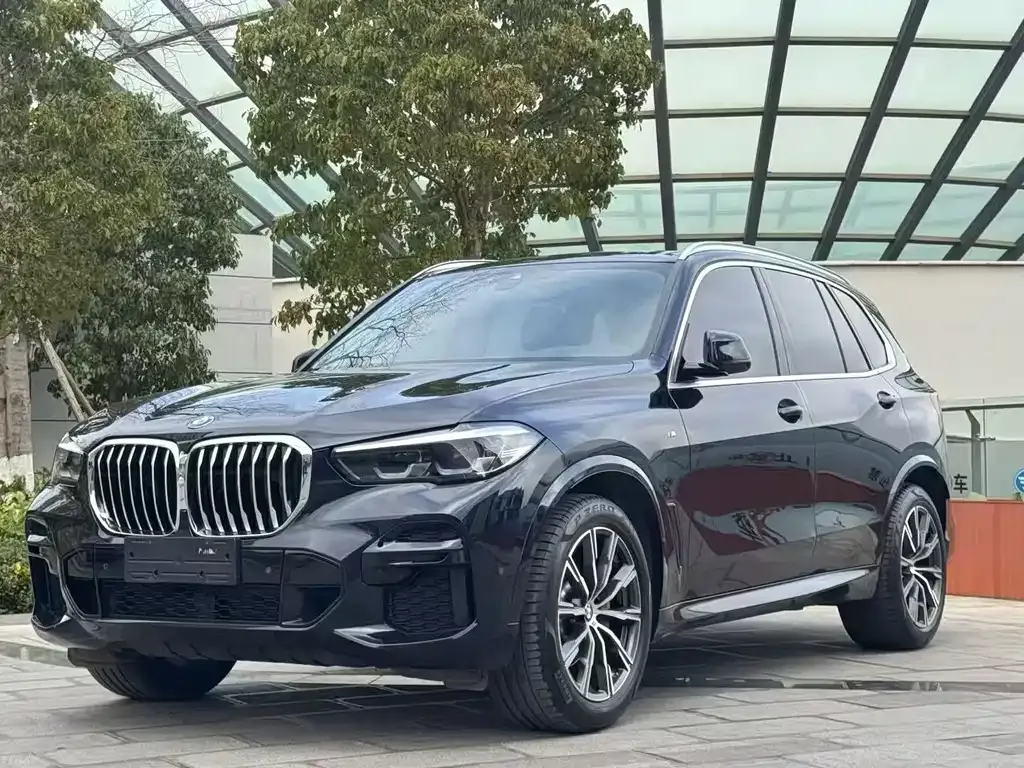 BMW X5 — фото 1