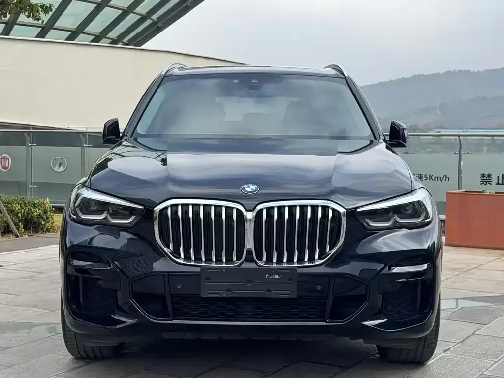 BMW X5 — фото 2