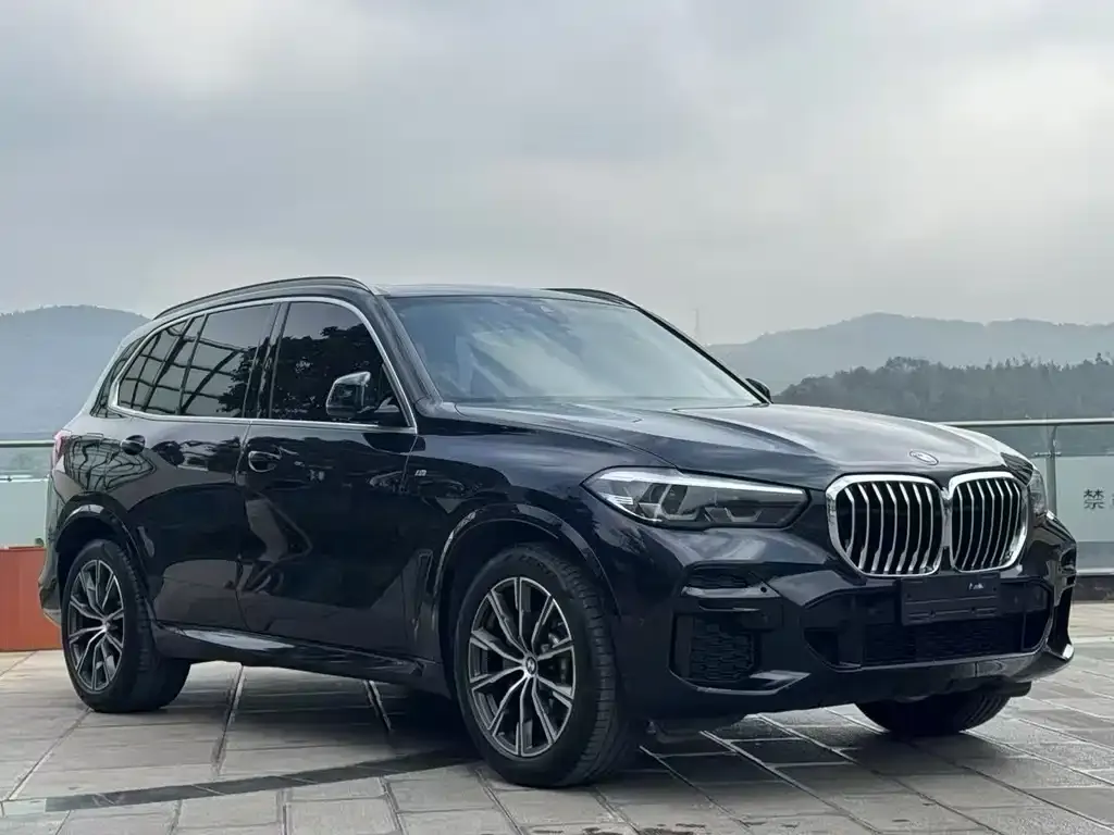 BMW X5 — фото 4