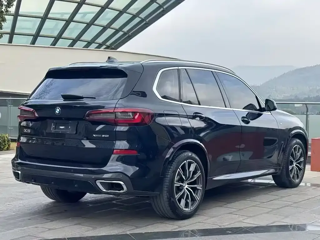 BMW X5 — фото 8
