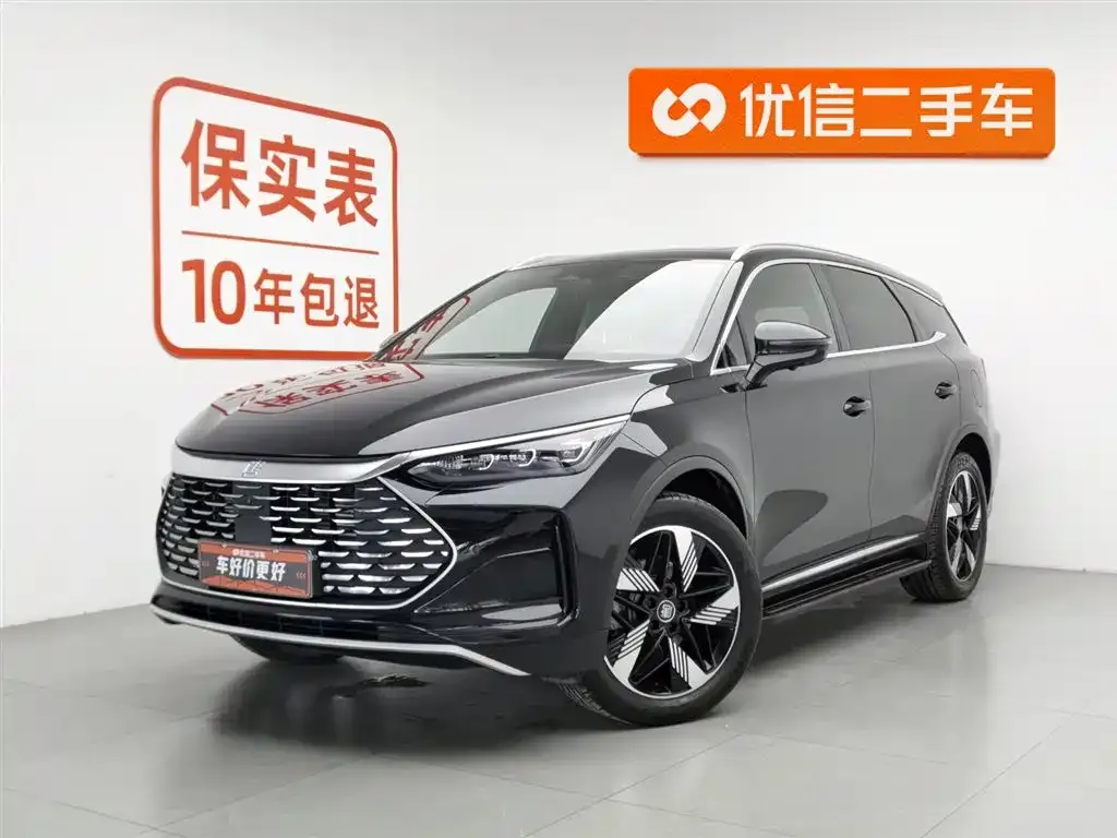 BYD Tang New Energy — фото 1