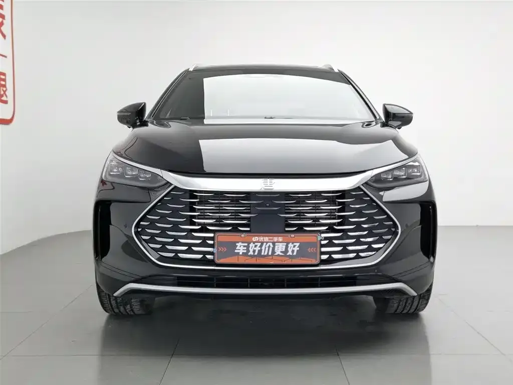 BYD Tang New Energy — фото 2