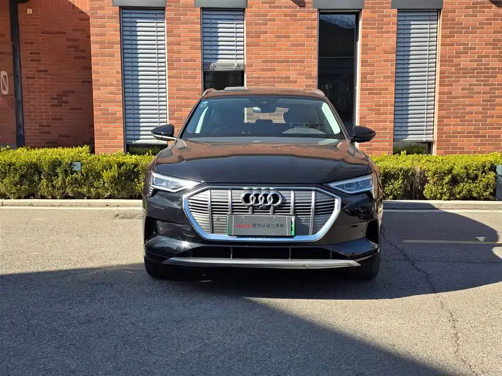 Audi e-tron (Import) 2022 из CN, фото 10
