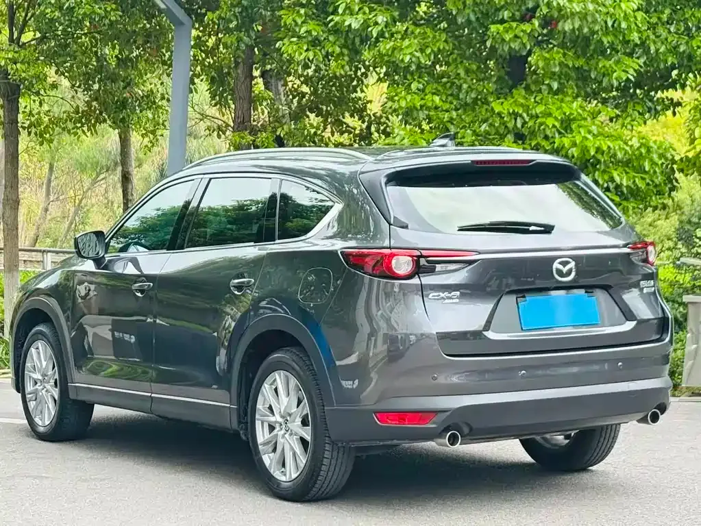 Mazda CX-8 2021 из CN, фото 4