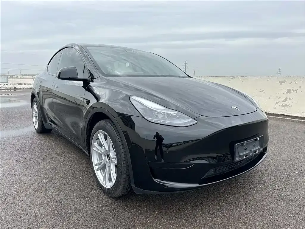 Tesla Model Y — фото 8