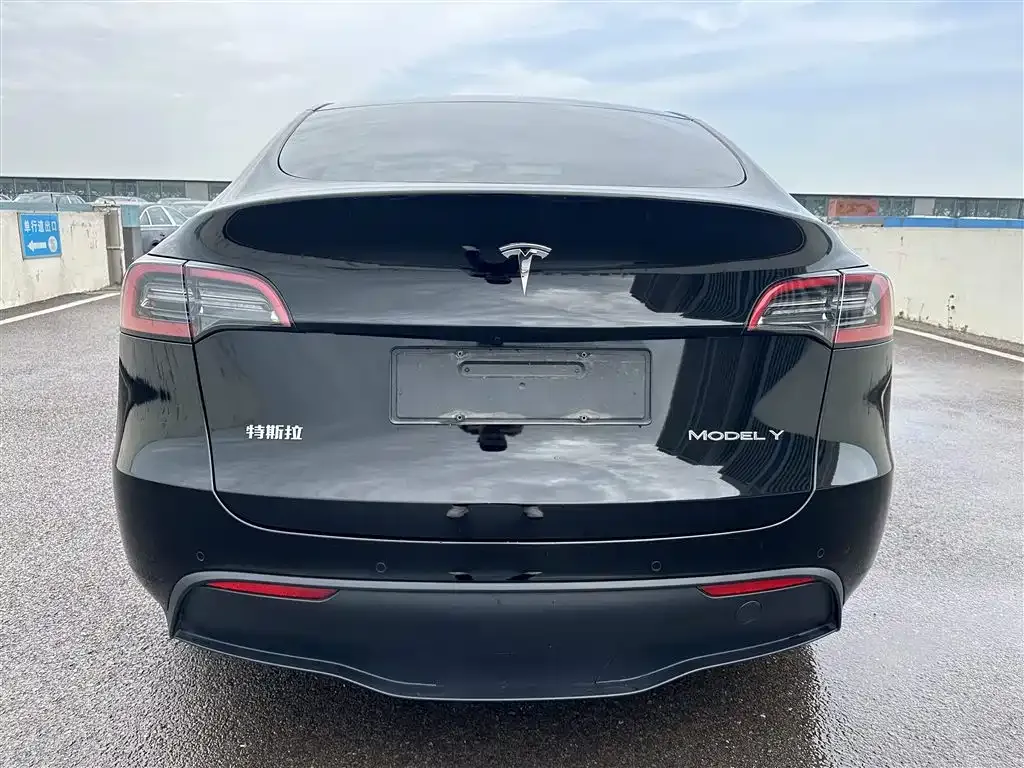 Tesla Model Y — фото 10