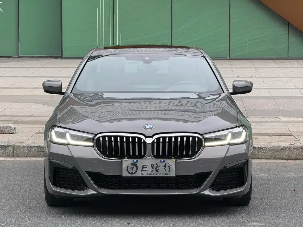 BMW 5 Series (Import) 2021 из CN, фото 3
