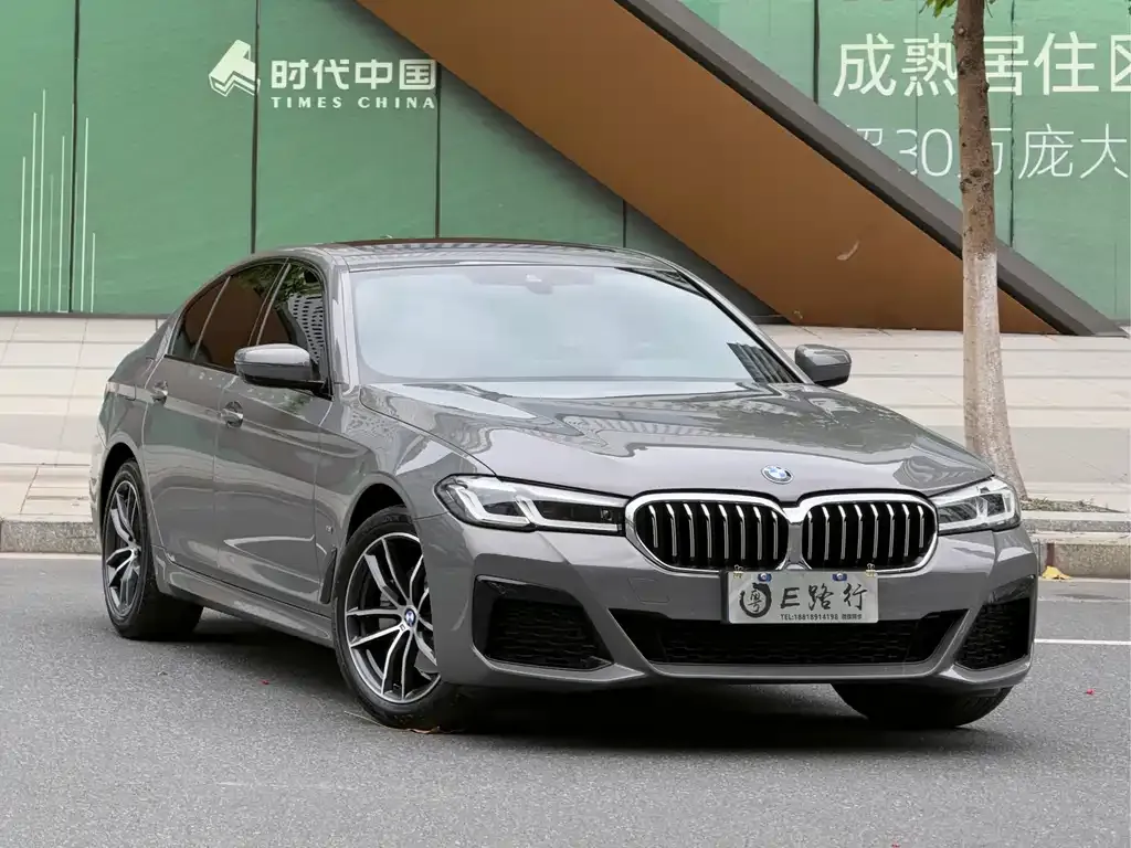 BMW 5 Series (Import) 2021 из CN, фото 8