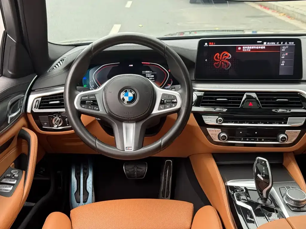 BMW 5 Series (Import) 2021 из CN, фото 9