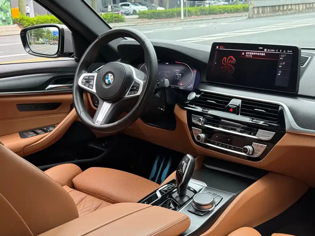 BMW 5 Series (Import) 2021 из CN, фото 7