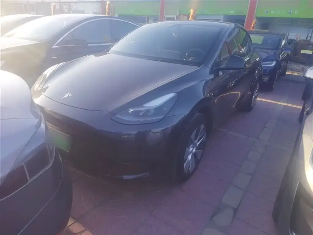 Tesla Model Y — фото 10