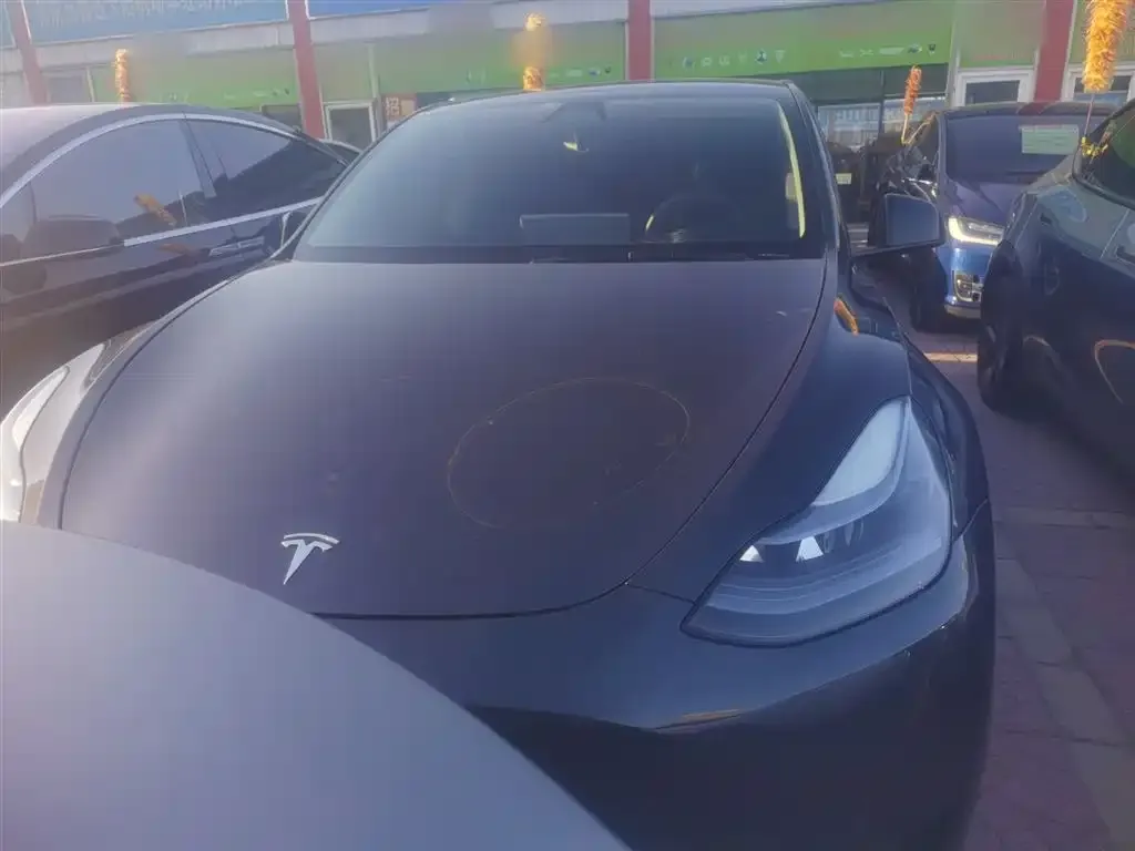 Tesla Model Y — фото 7