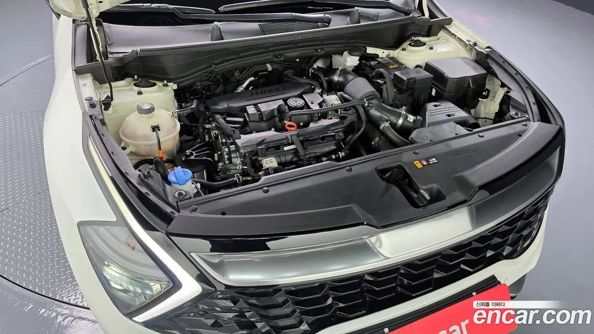 Kia Sportage — фото 3