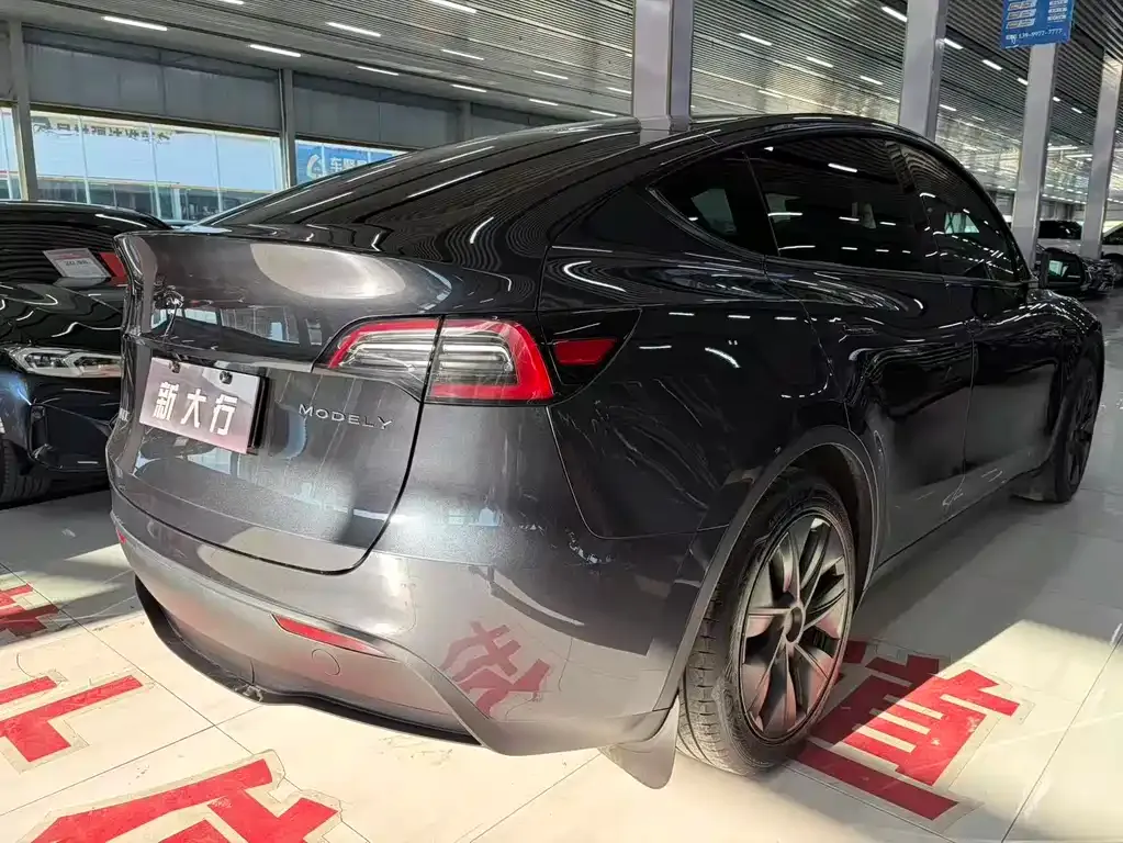 Tesla Model Y — фото 10