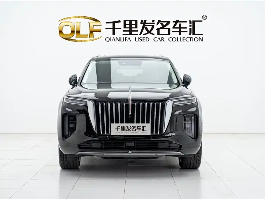 Hongqi E-HS9 — фото 5