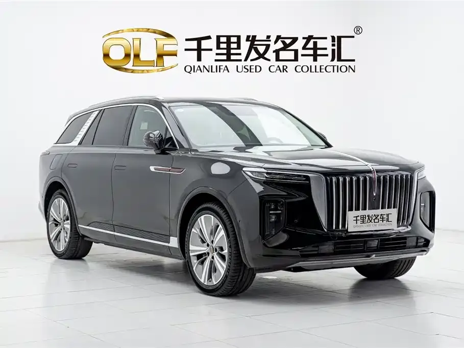 Hongqi E-HS9 — фото 8