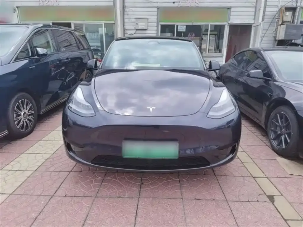 Tesla Model Y — фото 3