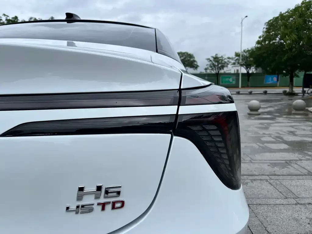 Hongqi H6 2023 из CN, фото 3