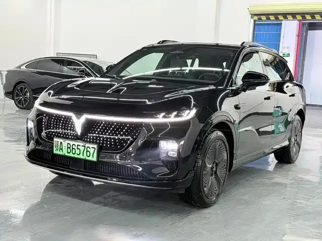 VOYAH Zhiyin