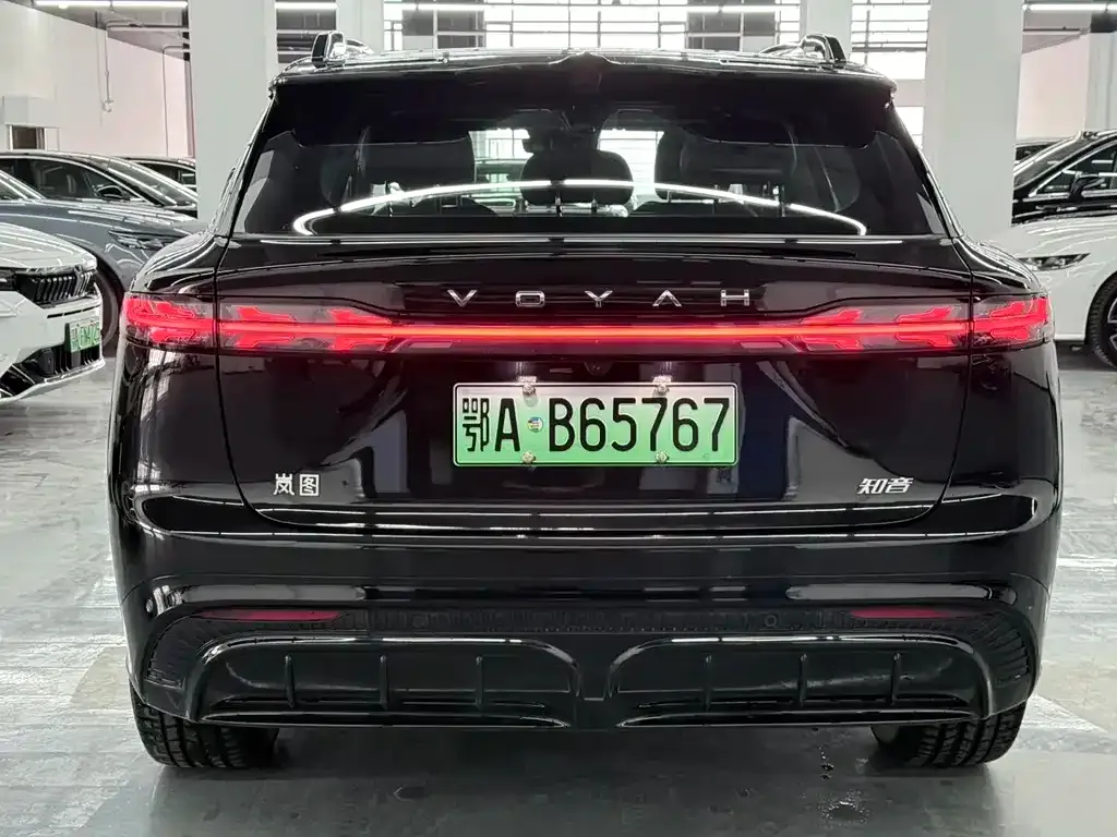 VOYAH Zhiyin 2025 из CN, фото 3