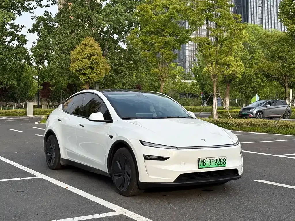 Tesla Model Y — фото 6