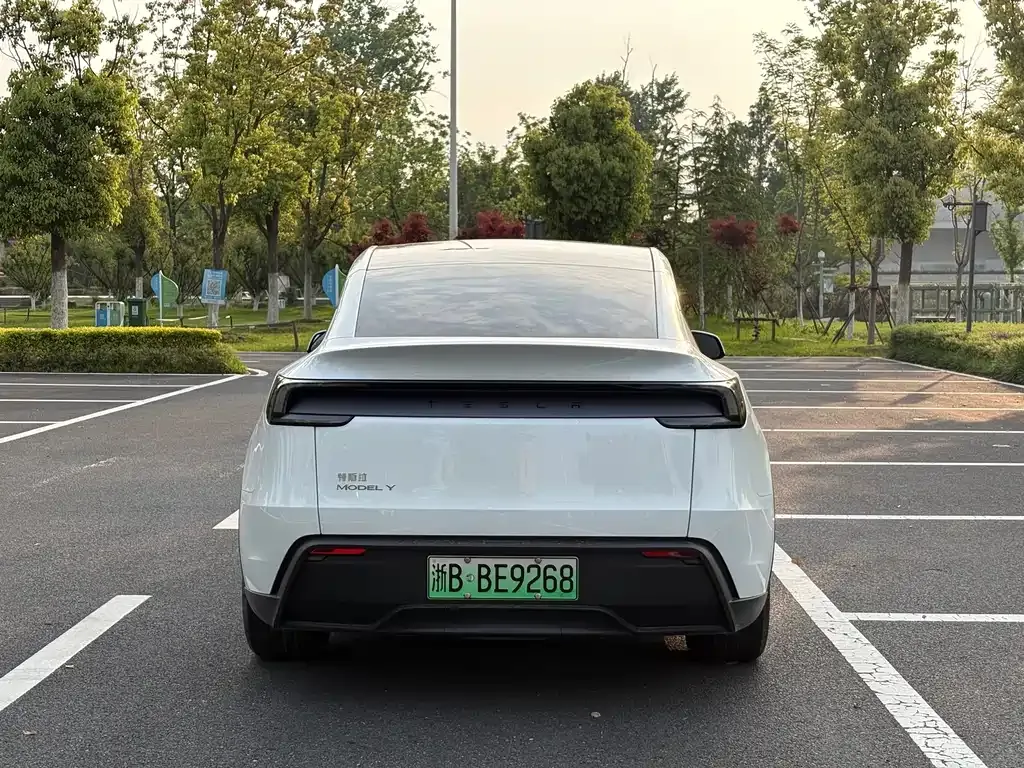 Tesla Model Y — фото 9
