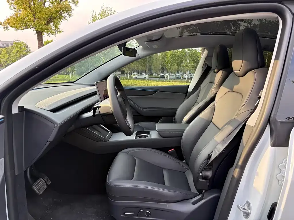 Tesla Model Y — фото 10