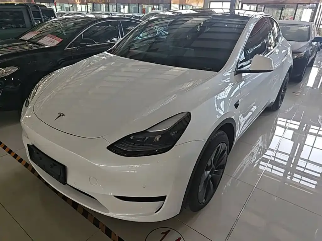 Tesla Model Y — фото 9