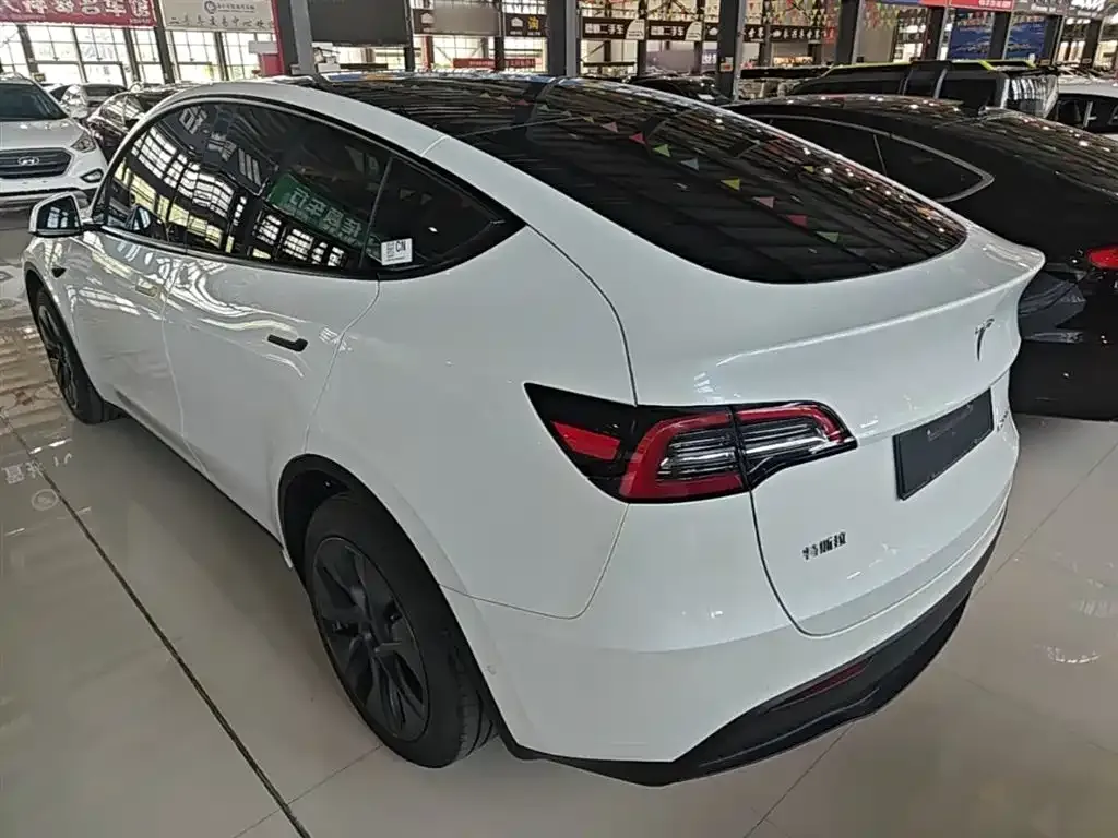 Tesla Model Y — фото 3