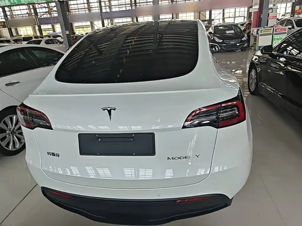 Tesla Model Y — фото 10