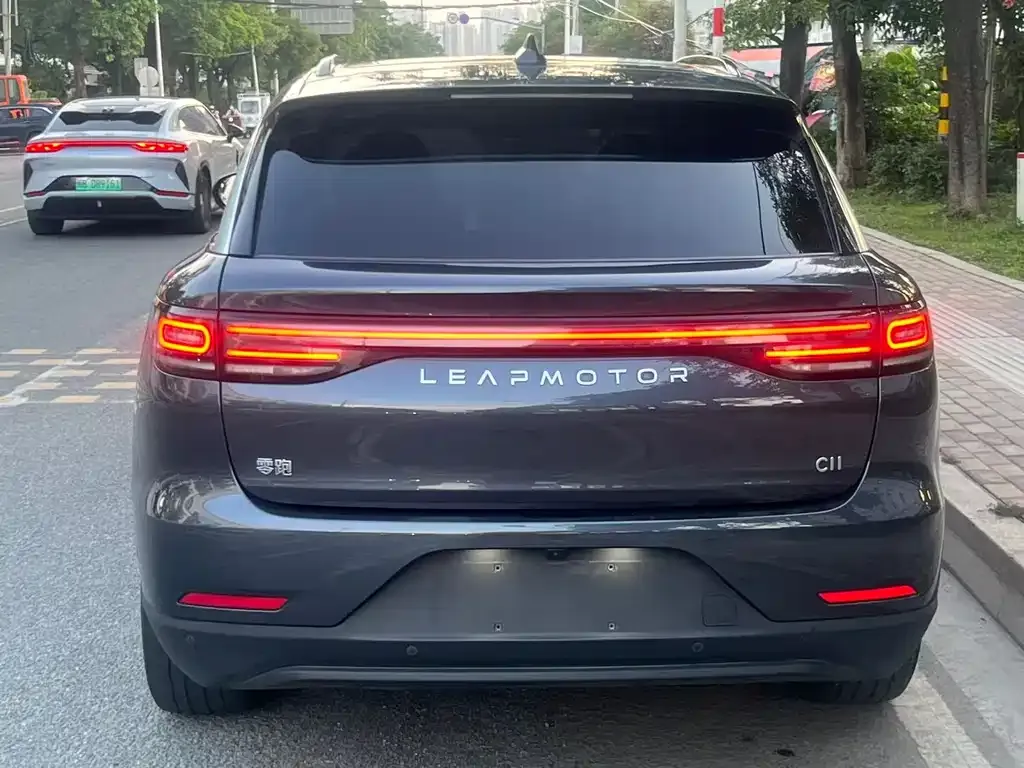 Leapmotor C11 2023 из CN, фото 3