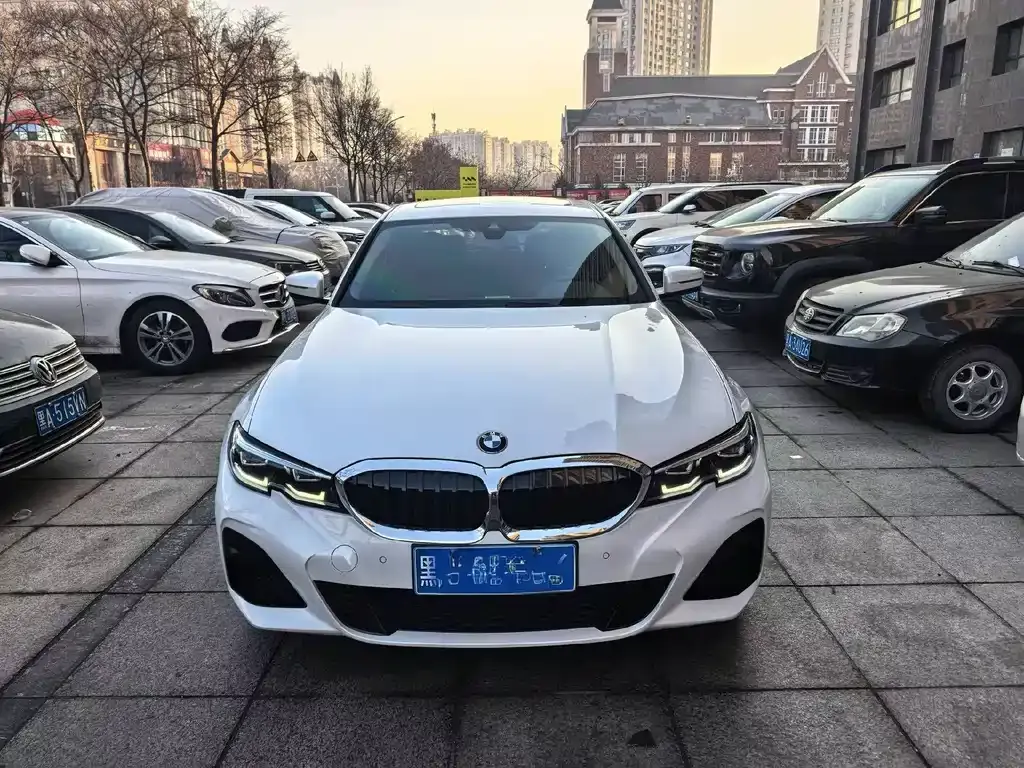 BMW 3 Series 2021 из CN, фото 5