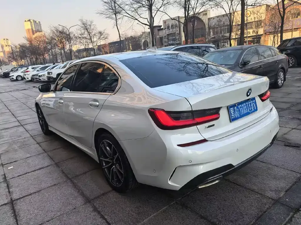 BMW 3 Series 2021 из CN, фото 6